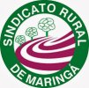 Sindicato Rural de Maringá - Maringá